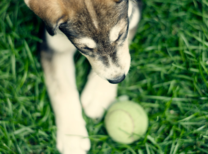 特价优惠的ddos测压网站