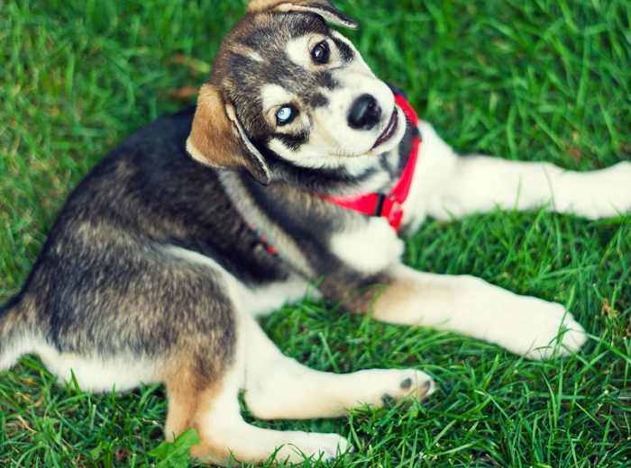 网络ddos监测分析工具