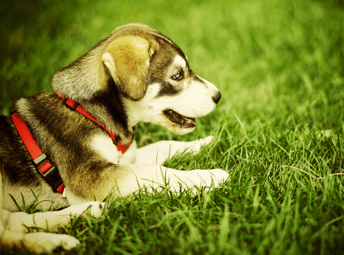 网络ddos监测分析工具