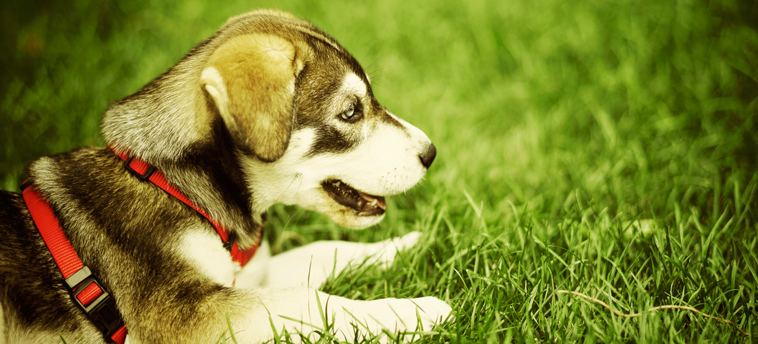 数字商店安全的免费攻击网站