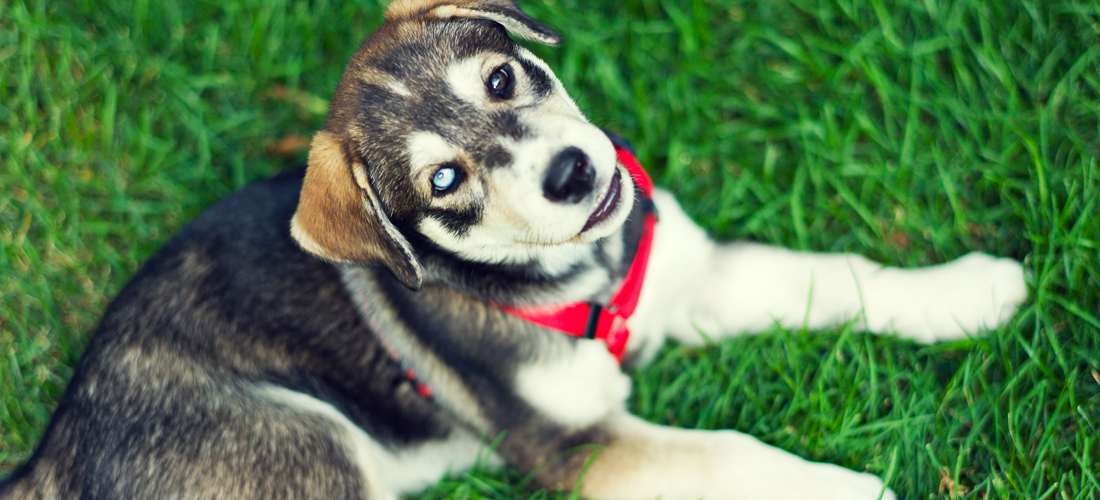 ddos攻击ip软件下载