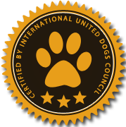 网站ddos隐藏源ip