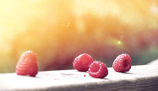 免费ddos压力测试平台